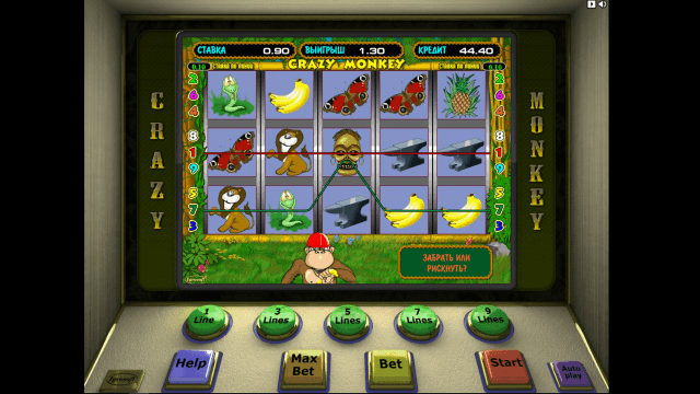 Crazy Monkey 5